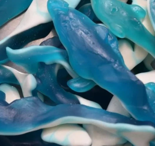 Giant Dolphins
