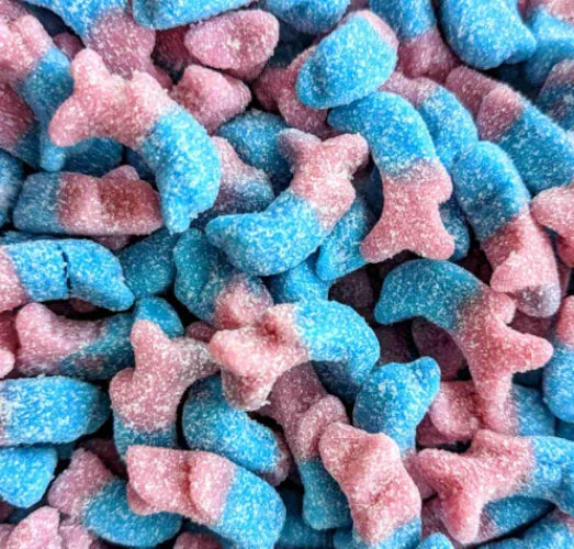 Bubblegum Dolphins